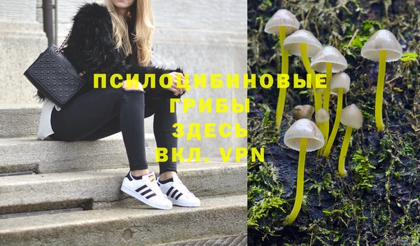 прущая мука Алзамай