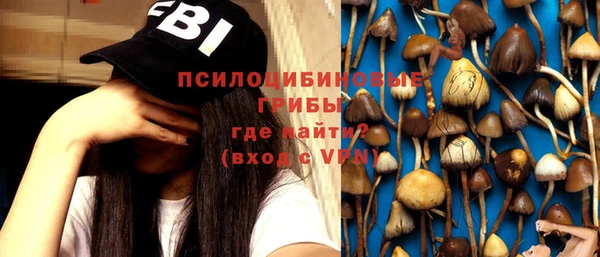 прущая мука Алзамай
