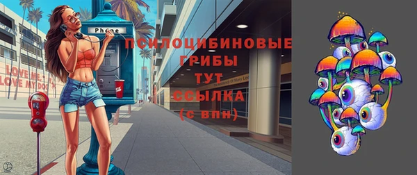 spice Алексеевка