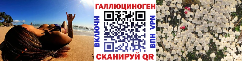 где можно купить наркотик  Унеча  Псилоцибиновые грибы мицелий 